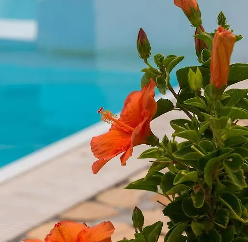 Capo Bianco 4* Porto Azzurro