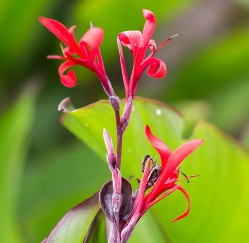 Capo Bianco Porto Azzurro