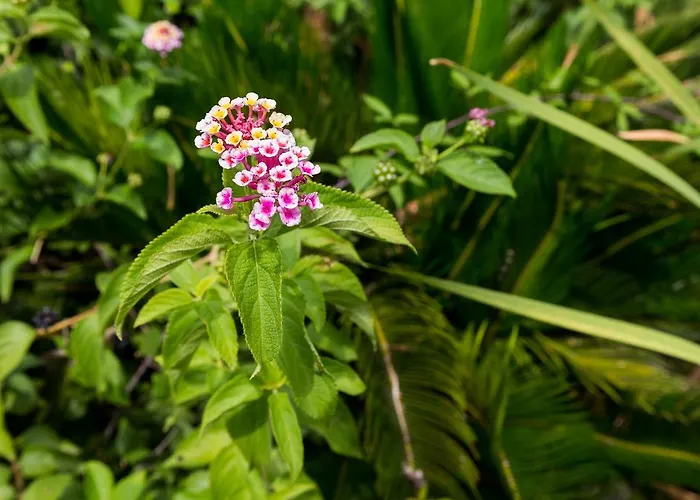 Capo Bianco Hotel apartamentowy