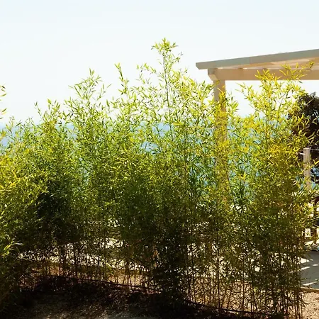 Apartahotel Capo Bianco Porto Azzurro