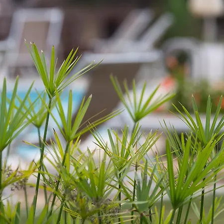 Capo Bianco Apartahotel