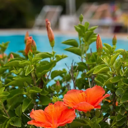 Capo Bianco Apartahotel 4*