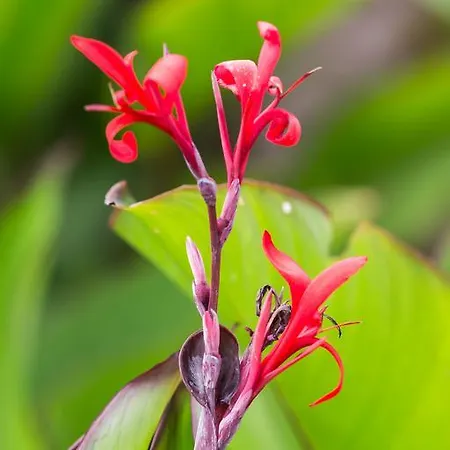 Capo Bianco Porto Azzurro
