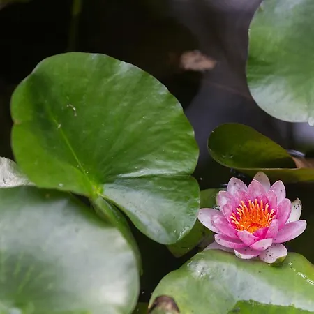 Capo Bianco 4* Porto Azzurro