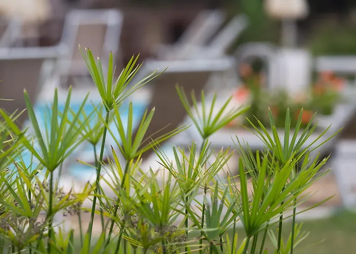 Capo Bianco شقة فندقية