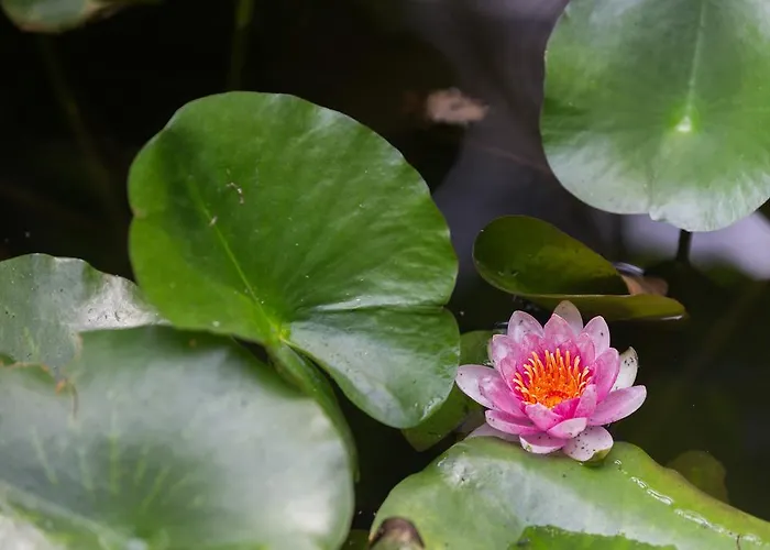 Capo Bianco 4* Porto Azzurro