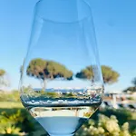 Capo Bianco Aparthotel Porto Azzurro